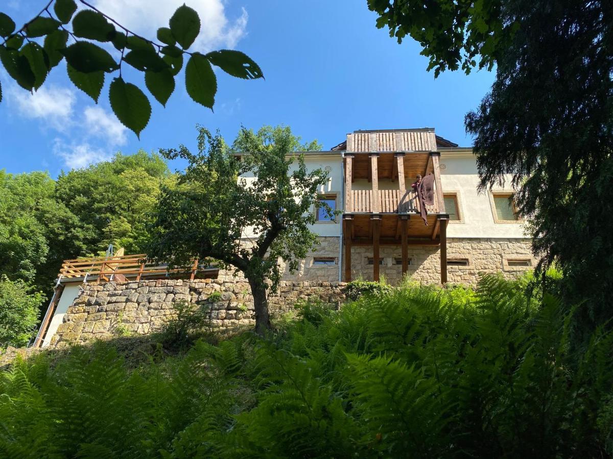 Luxusboofe - Ferienhaus Am Lilienstein 柯尼希施泰因易北 外观 照片